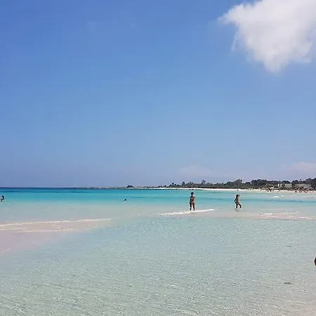 Oasi Da Paolo Castelluzzo